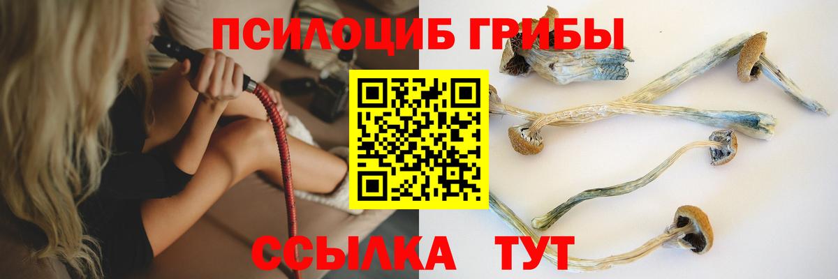 Псилоцибиновые грибы GOLDEN TEACHER Горячий Ключ